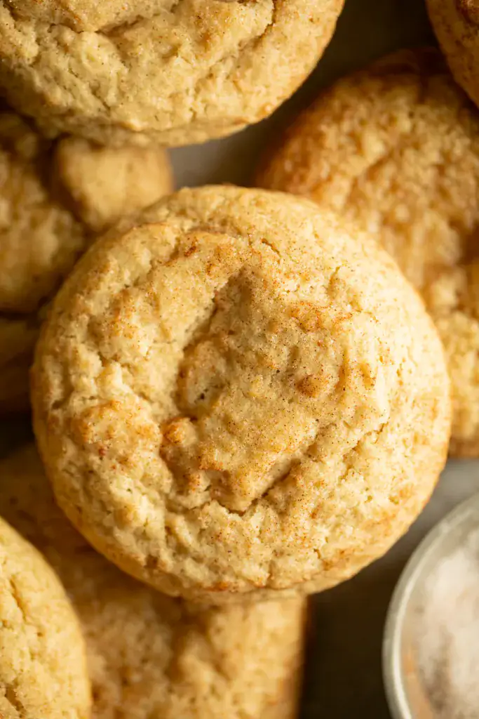 chewy snickerdoodle cookie rolled in cinnamon sugar