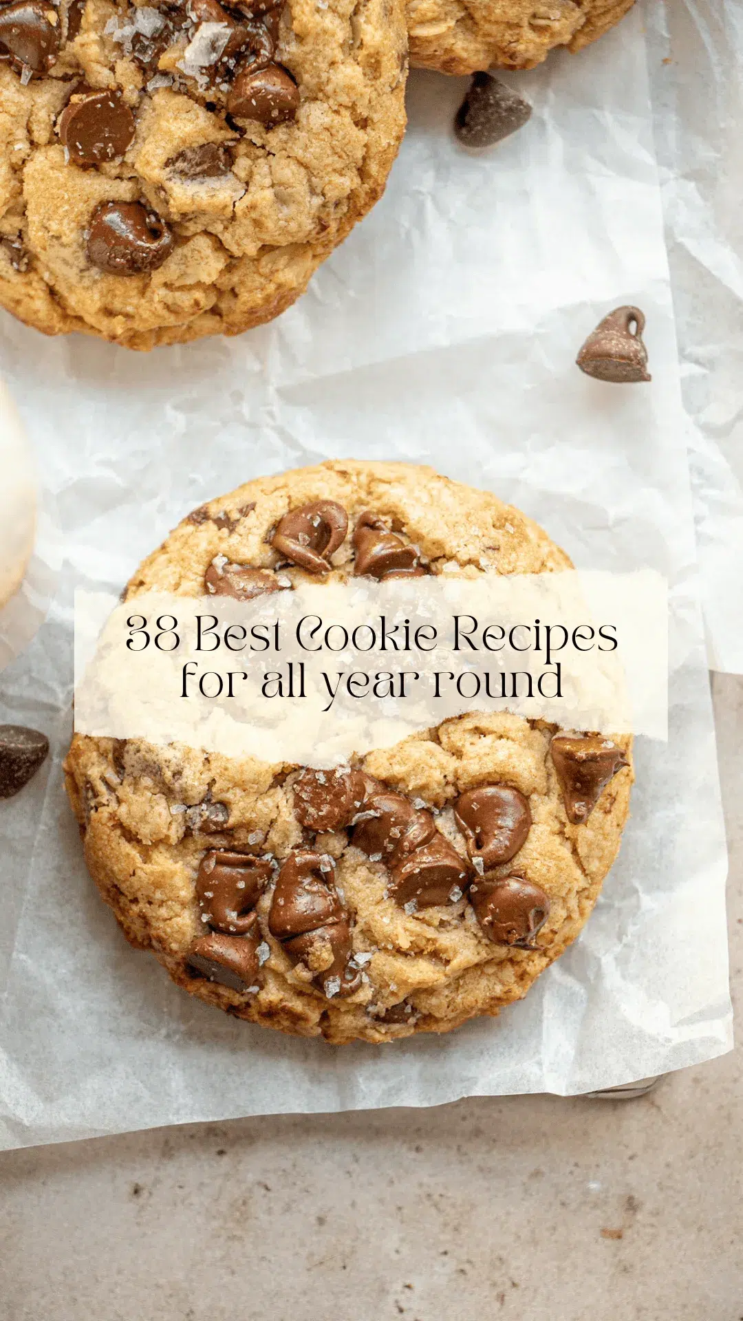 38 Best Cookie Recipes (for all year round)