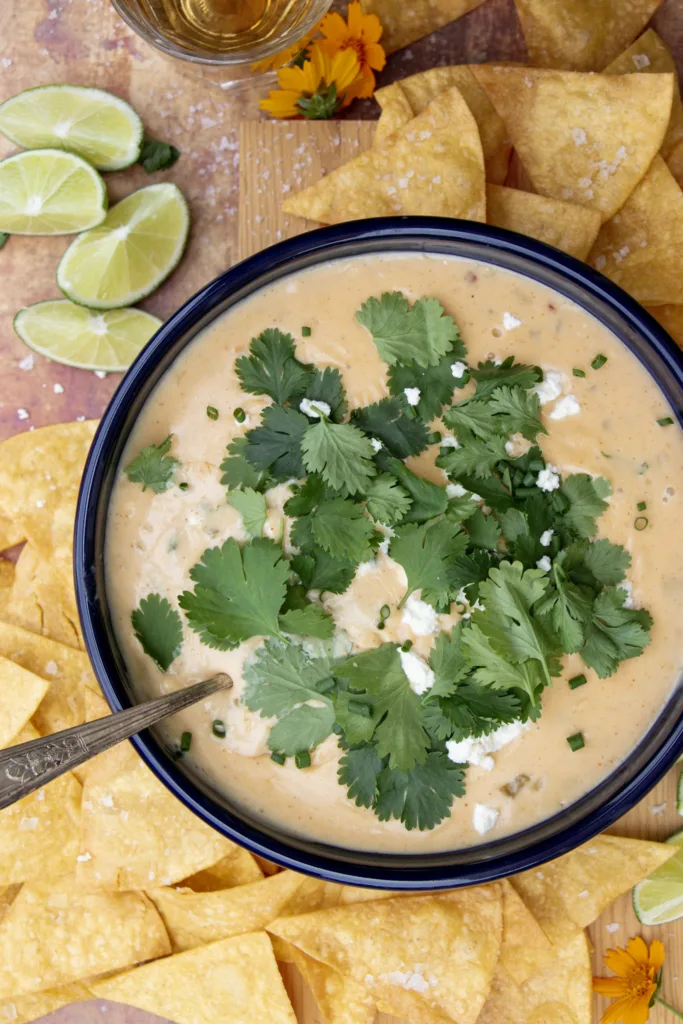 bowl of fie ingredient white queso