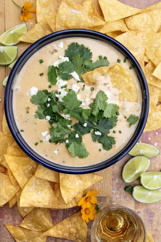 bowl of 5 ingredient queso 