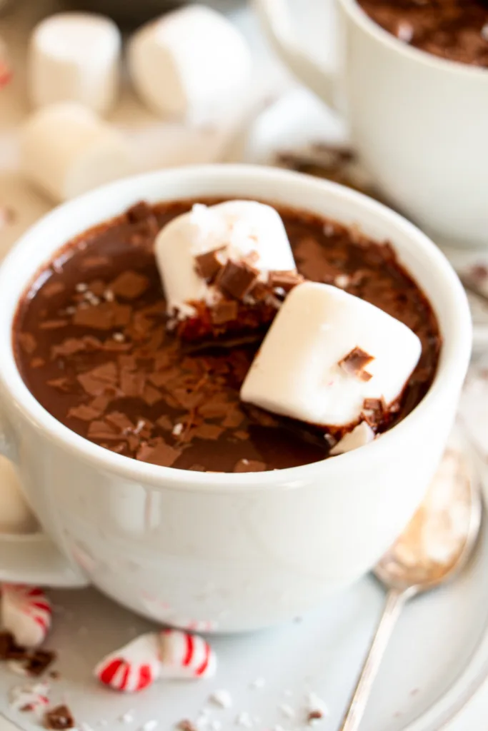 large mug full of warm hot chocolate 
