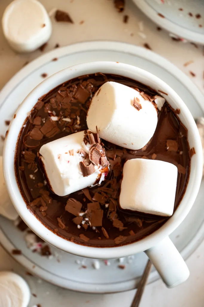 hot cocoa topped with marshmallows and shaved chocolate 