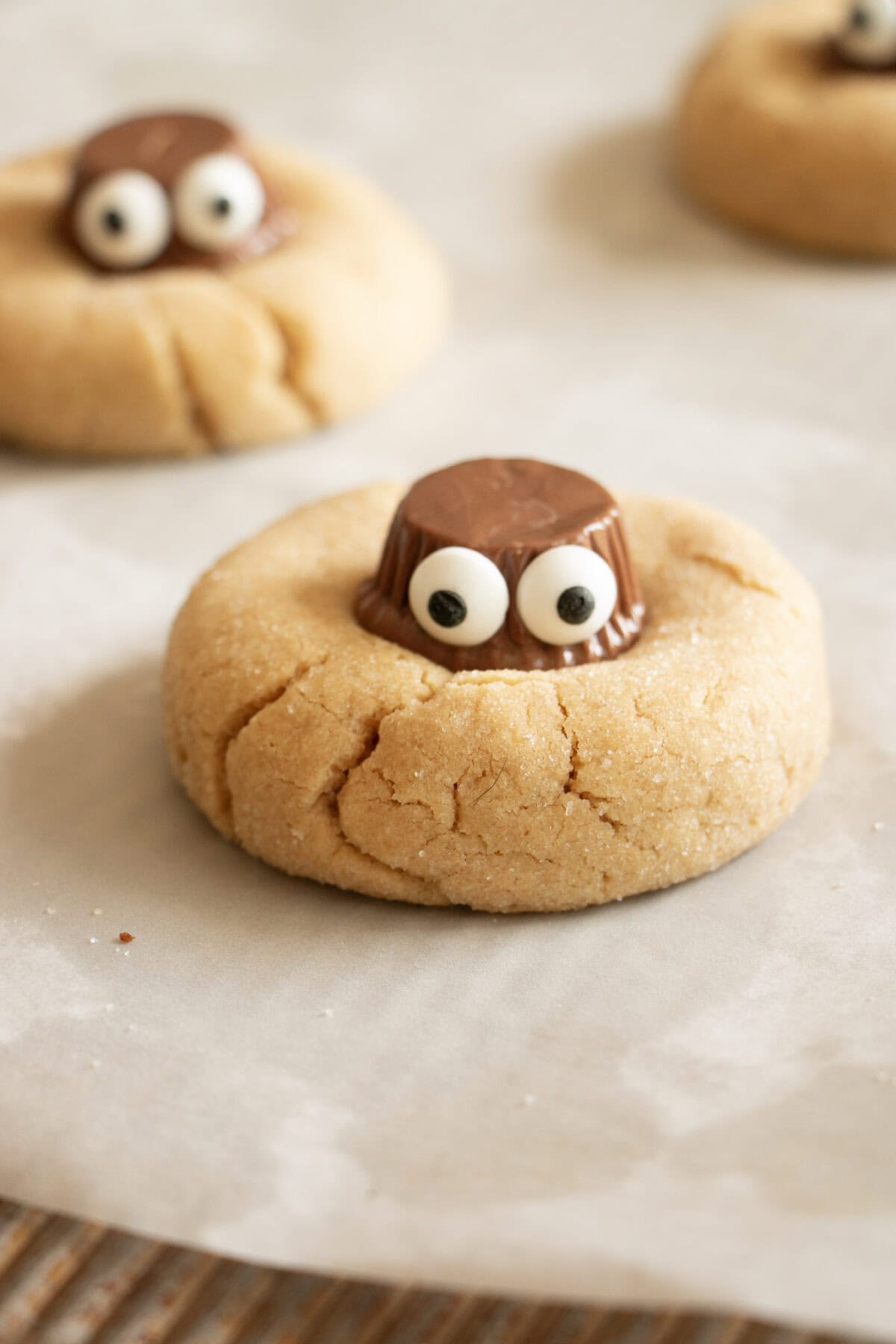 Halloween Inspired Peanut Butter Blossom Spider Cookies The Hearty Life