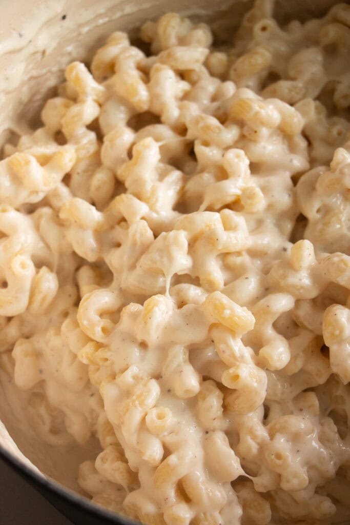 noodles tossed in cheese sauce