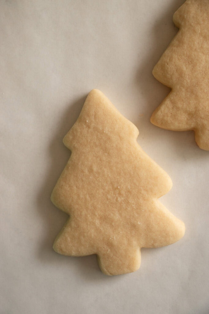 bake tree sugar cookie