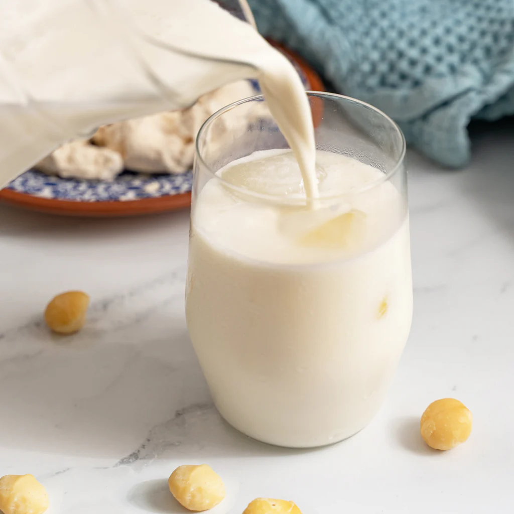 homemade macadamia milk