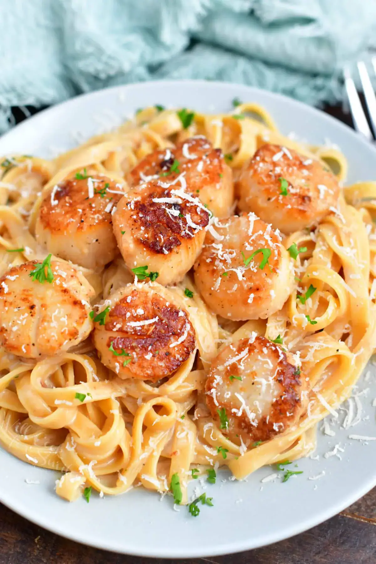 seared scallops