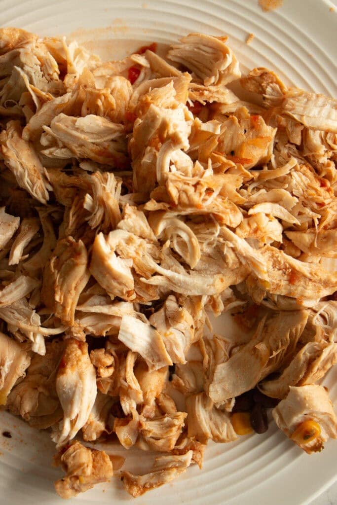 shredded chicken on a plate