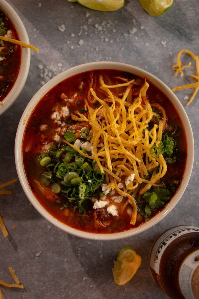 big bowl of chicken tortilla soup topped with green onions 