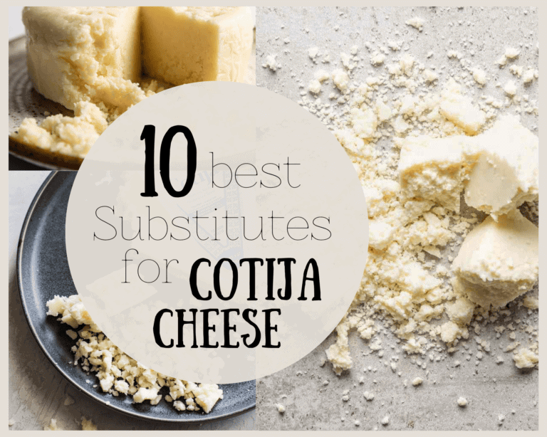 The 10 Best Substitutes For Cotija Cheese