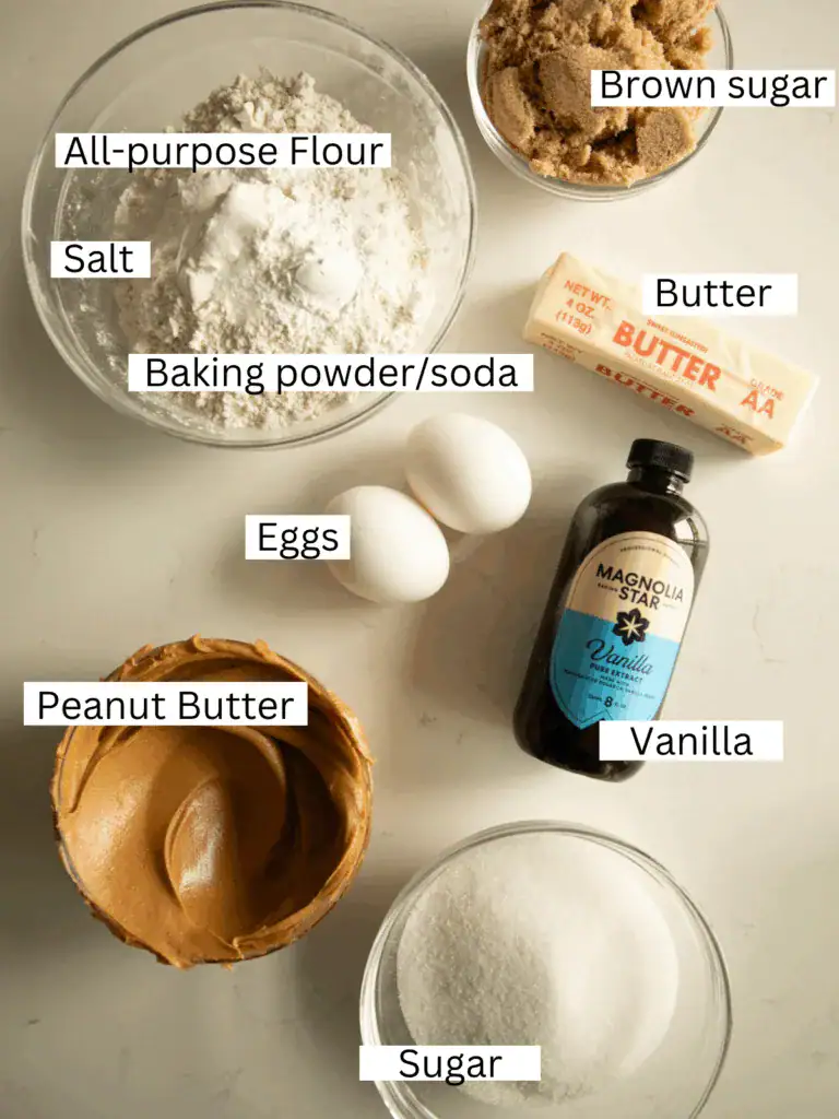 prepped and labels ingredients with text on a marble slab