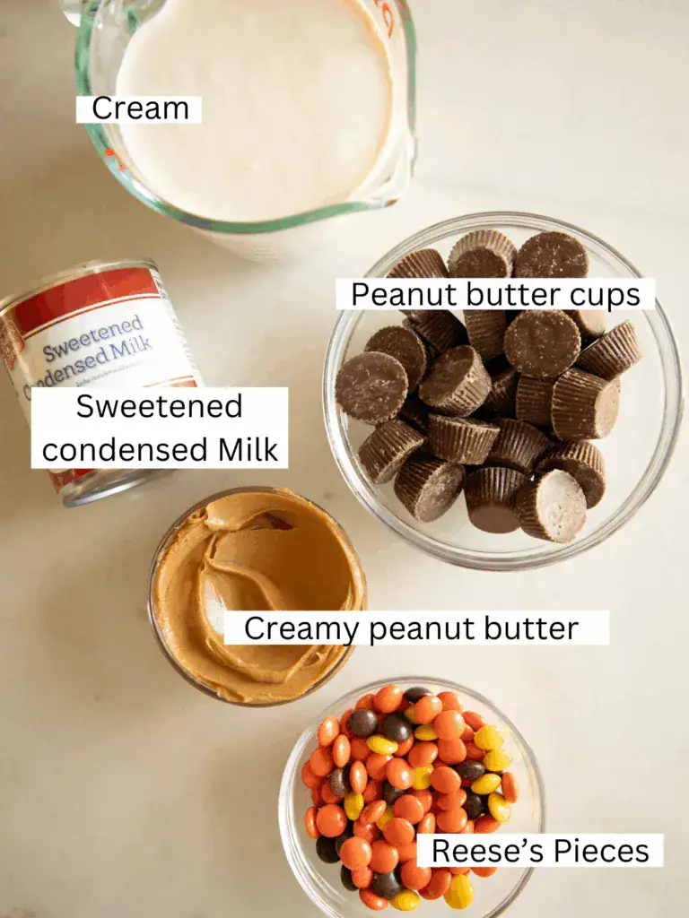ingredients for the ice cream with peanut butter