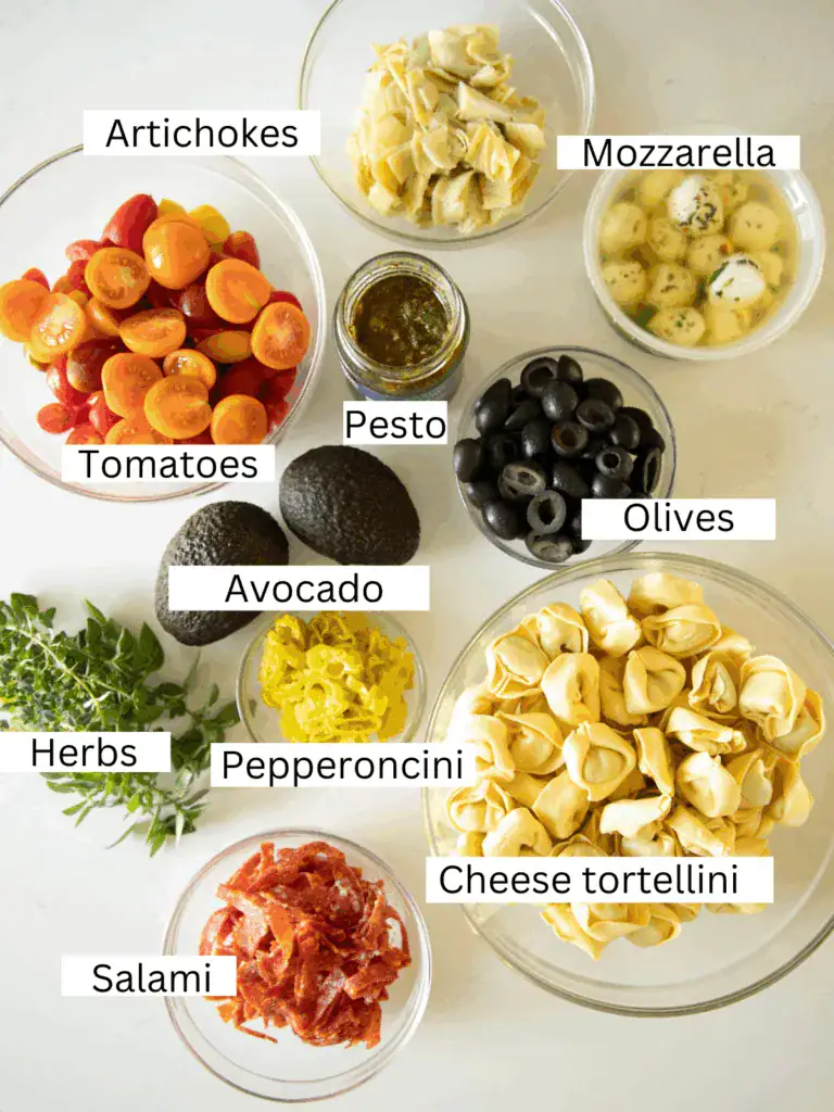 Overhead view of pesto tortellini antipasto salad ingredients including cherry tomatoes, artichokes, mozzarella balls, olives, avocado, pepperoncini, herbs, salami, and cheese tortellini.