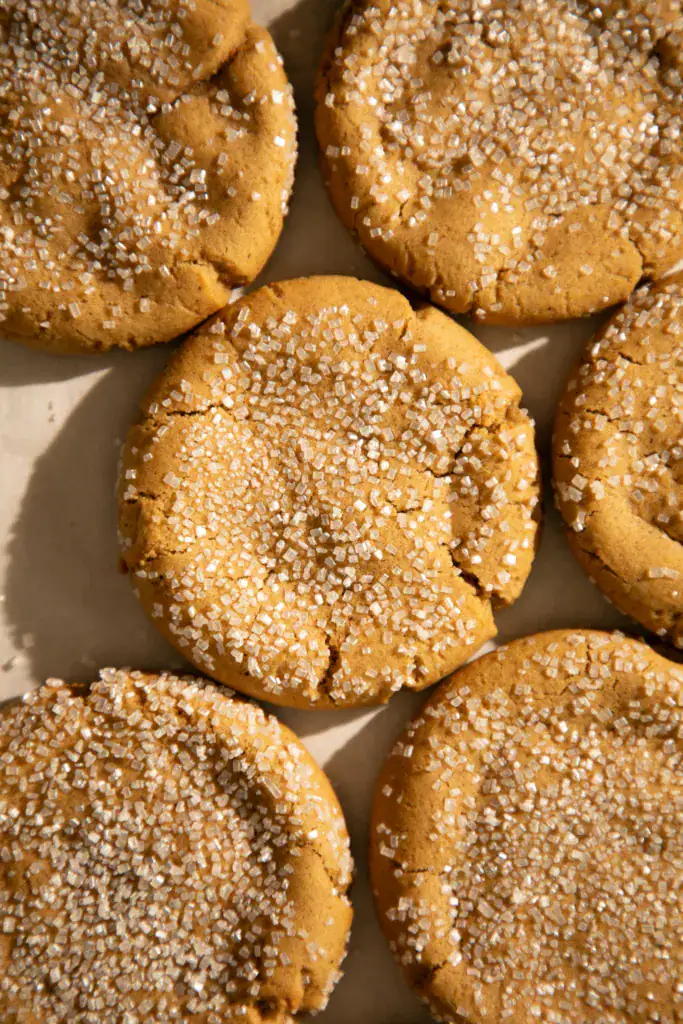 Several old-fashioned chewy ginger cookies with sparkling sugar cooling on parchment.