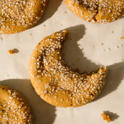 Chewy ginger cookie with coarse sugar topping and a bite missing, showing soft inside texture
