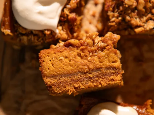 Side view showing layers of graham cracker crust, creamy pumpkin filling, and golden oat streusel topping.