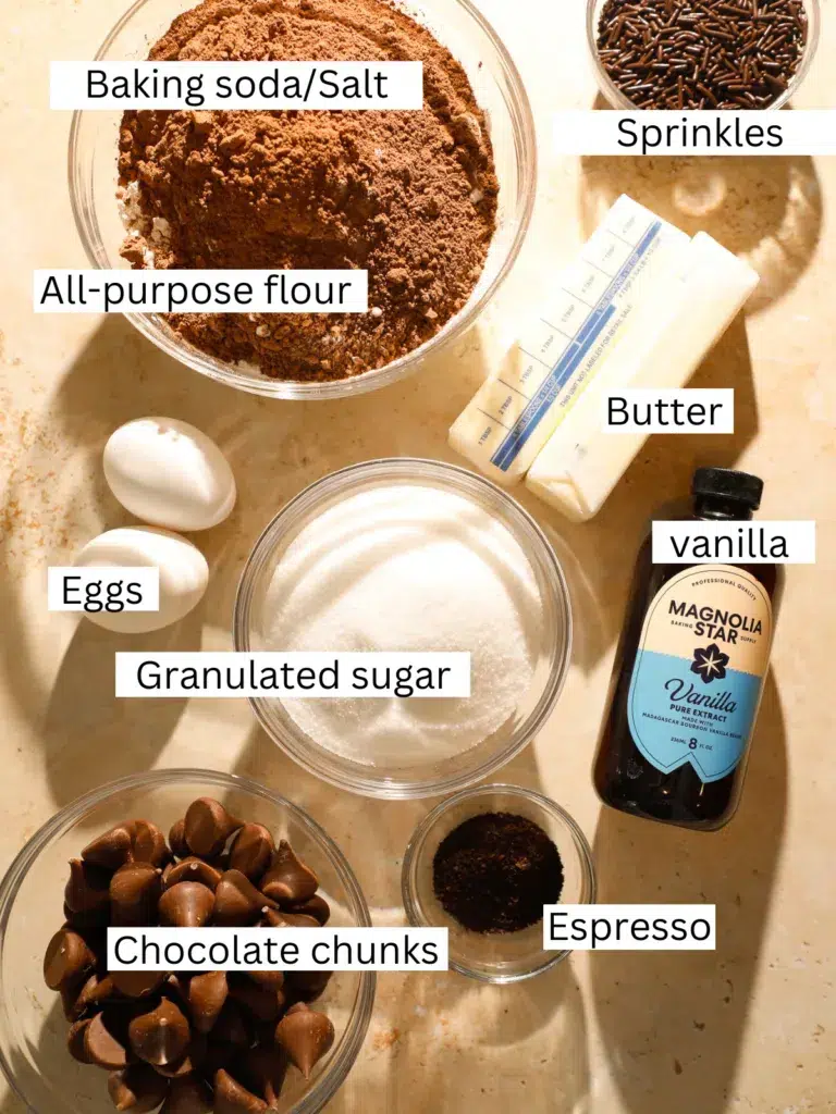 Overhead view of measured cookie ingredients including cocoa powder, flour, butter, sugar, eggs, vanilla, espresso, and chocolate chunks labeled for double chocolate espresso blossom cookies.