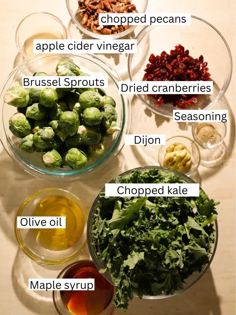 Overhead photo of salad ingredients including chopped kale, Brussels sprouts, dried cranberries, toasted pecans, Dijon mustard, maple syrup, olive oil, seasoning, and apple cider vinegar.